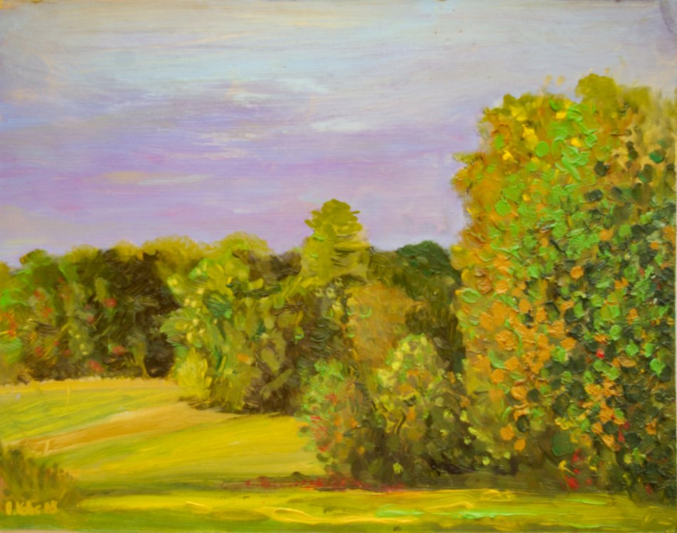 2008  — (17) (2) Na kraji lesa za RK, A,O,S, cca32x45cm